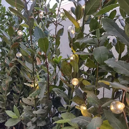 住宿加早餐酒店 Room45